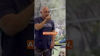 Remember it’s EXERCISE, DISCIPLINE, AFFECTION. It is not AFFECTION, AFFECTION, AFFECTION