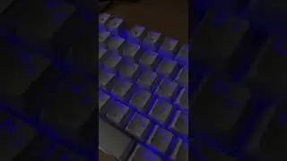 Новая обнова Genshin