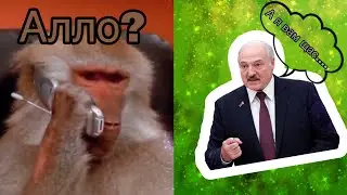 Лукашенко достал обезьяну