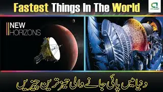 Fastest Things In The World | 2021 | Info Desert | Hindi/Urdu