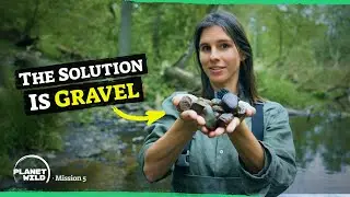 How one person saved a river