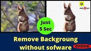 Remove Background Online From Image | Automatic Background Remover | Online Photo Background Remover