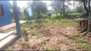 Mormo, Alegrete, Rio Grande do Sul