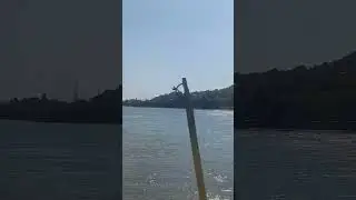 Река Дон 