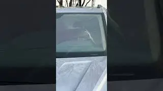 Наши Друзья 🤩