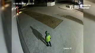 Жителю нового ЖК «Формат» сломали нос из-за замечания о собаке без поводка