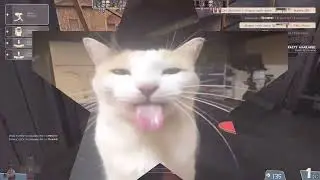 tf2 cat edit