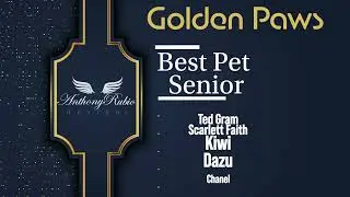 Golden Paws Awards nominations announcement - Anthony Rubio - Pet Fashion