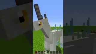 horse + xp = ???