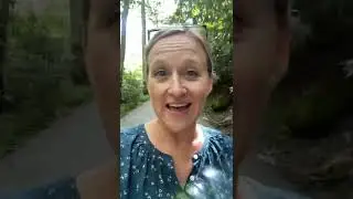 Our Trip to Frank Lloyd Wright’s Fallingwater (på dansk)