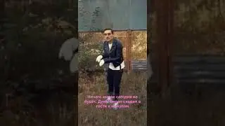 Дима Билан Ничего милее сегодня не будет. Дима Билан сходил в гости к манулам