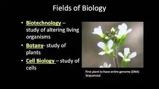 Fields of Biology