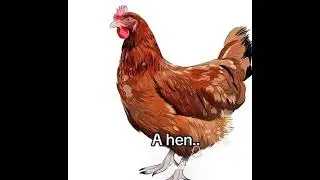 A ten
