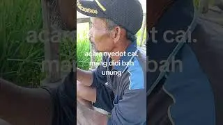 29 Agustus 2024
