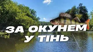Відео за окунем у тінь