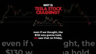 WHY IS TESLA STOCK CRASHING? *TSLA*