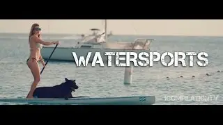 People Are Amazing 2016 - Water Edition!
