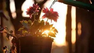 meditational relaxation music, healing music, sleep music, insomnia