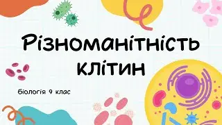 Біологія 9 клас  Різноманітність клітин