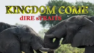 DIRE STRAITS - KINGDOM COME by MARK KNOPFLER (@ 3:40 VIEWER discretion DECEASED RHINO)