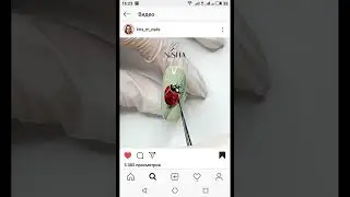 Божья коровка