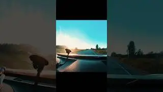 Приключения начинаются!