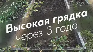 Высокая грядка 🌾 через 3 года