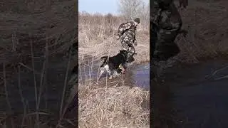 Давыд о подошвах