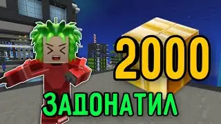 Я задонатил 2000 г кубов в Блокмен Го..