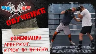 Апперкот и нокаутирующий в печень от GGG. Обучающее видео.