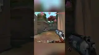 BEST SHOTGUN PLAYER