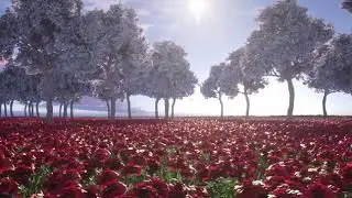 ROSE GARDEN | IDFX Animations | 2020