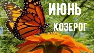 КОЗЕРОГ ♑️  ИЮНЬ 🌼 прогноз-подсказка на ИЮНЬ
