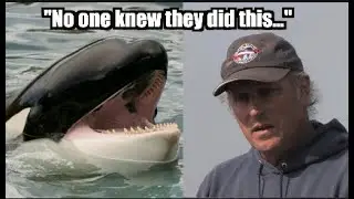 Uncut Interview with the First Human to Witness an Orca Killing a Great White: 1997