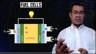 Fuel Cell | Overview