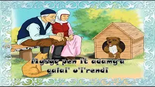 Мысық пен ит адамға қалай үйренді!
