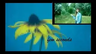 few seconds