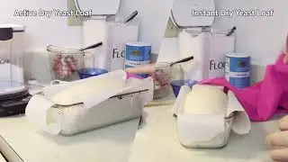Bread Making at Home