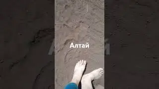 27 июня 2024 г.