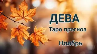 ДЕВА🌈 Таро прогноз🌛Ноябрь 2024