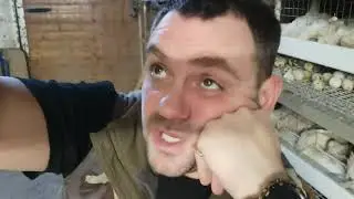 Разрывают мясо!!! Новогодний ажиотаж!!. Строю планы на новый год.
