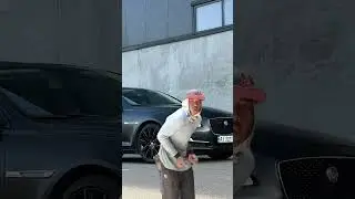 Ягуар