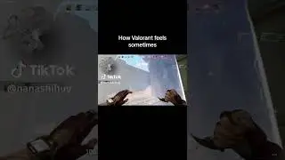 How Valorant feels sometimes