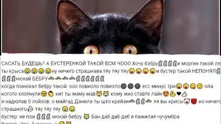 А БУСТЕРЕНКО ТАКОЙ ВСМ ЧООО Хочу бэбру🗿и морген такой ля ты крыса😂ну ничего страшнава тяу тяу тяу