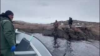 Hunting & Work Trip To William's Harbour
