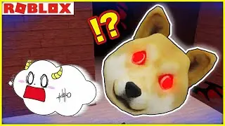 巨大な顔の犬から逃げて子猫を救い出せ！【ロブロックス・ROBLOX】｜ゲーム実況｜★サンサンキッズGAMES★