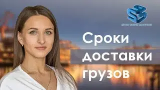 Сроки доставки грузов. Анастасия Акдерли. Starshine Logistics School 0+