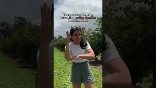 COFFEE FARM | ASL Glossary | The ASL Shop