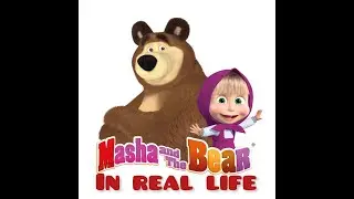 MASHA AND THE BEAR in REAL LIFE | All Characters