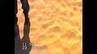 Ашулук стрельба на отлично  628 зрп 1996г